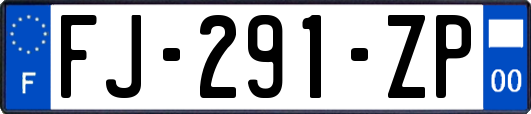 FJ-291-ZP