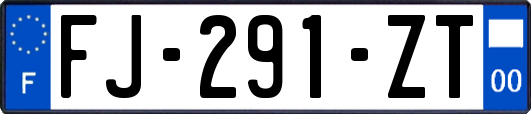 FJ-291-ZT