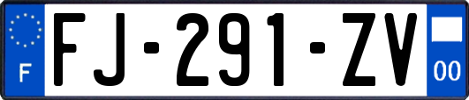 FJ-291-ZV