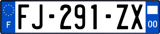 FJ-291-ZX