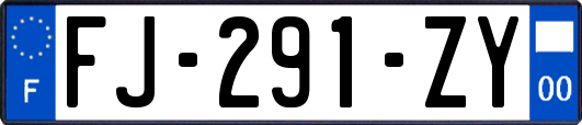 FJ-291-ZY