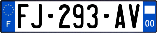 FJ-293-AV