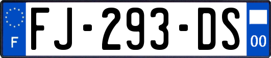 FJ-293-DS