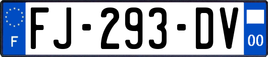 FJ-293-DV