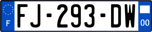 FJ-293-DW