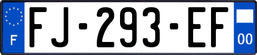FJ-293-EF