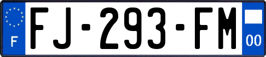 FJ-293-FM