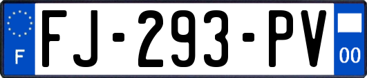 FJ-293-PV