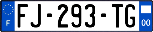 FJ-293-TG