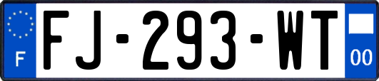 FJ-293-WT