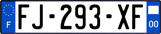 FJ-293-XF