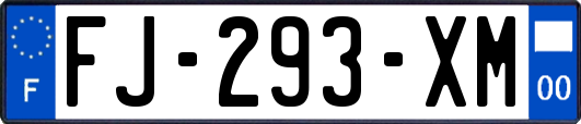 FJ-293-XM