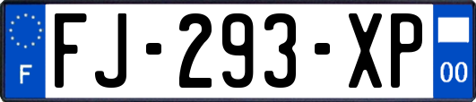 FJ-293-XP