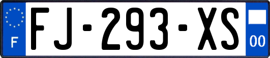 FJ-293-XS