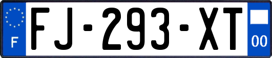FJ-293-XT
