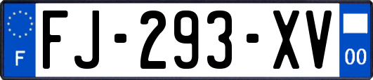 FJ-293-XV