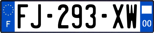FJ-293-XW