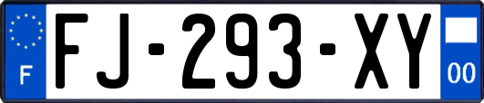 FJ-293-XY