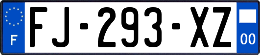 FJ-293-XZ