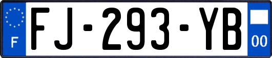 FJ-293-YB
