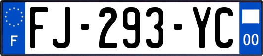 FJ-293-YC
