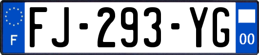 FJ-293-YG