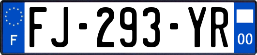 FJ-293-YR