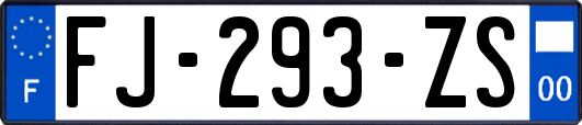 FJ-293-ZS