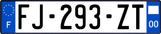 FJ-293-ZT