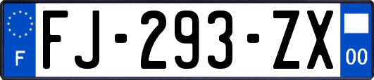 FJ-293-ZX