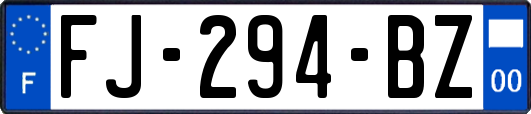 FJ-294-BZ