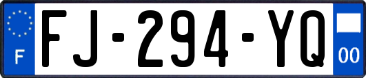 FJ-294-YQ