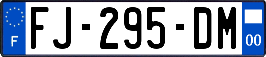FJ-295-DM