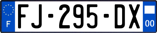 FJ-295-DX