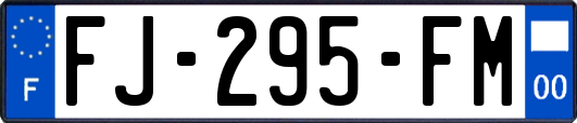 FJ-295-FM