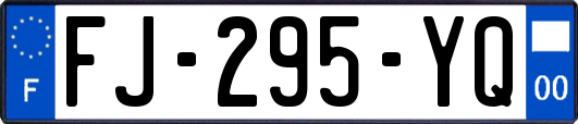 FJ-295-YQ