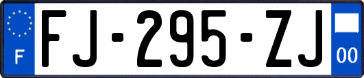 FJ-295-ZJ