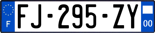 FJ-295-ZY