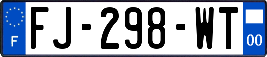 FJ-298-WT