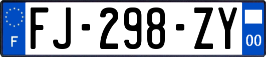 FJ-298-ZY