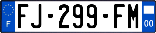 FJ-299-FM