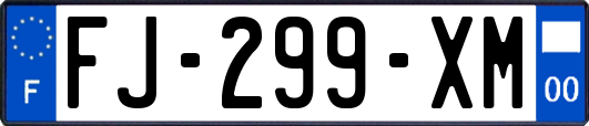 FJ-299-XM