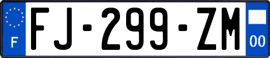 FJ-299-ZM