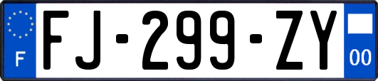 FJ-299-ZY