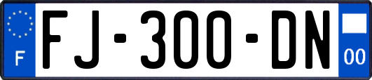 FJ-300-DN