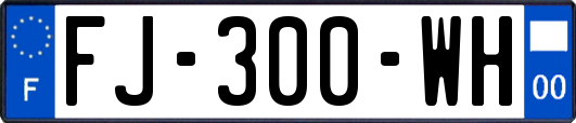 FJ-300-WH