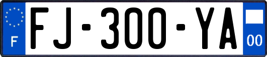 FJ-300-YA