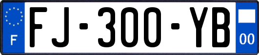 FJ-300-YB