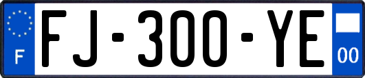 FJ-300-YE