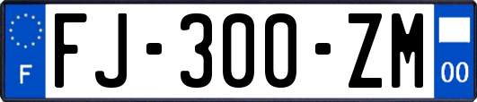 FJ-300-ZM